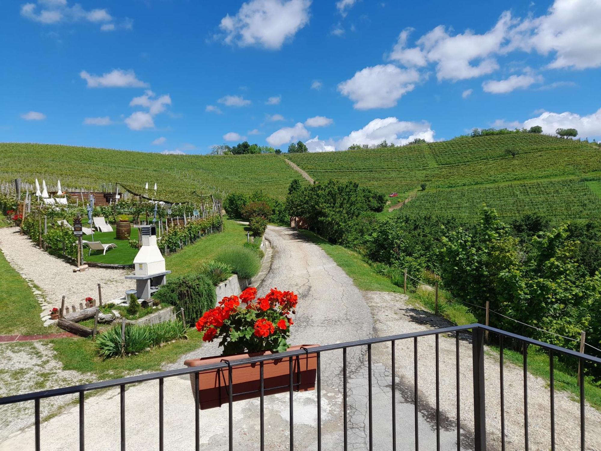 Madama Langa Country House Con Piscina Nelle Vigne Montelupo Albese Exterior foto